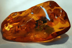 Amber Taşı Nedir?